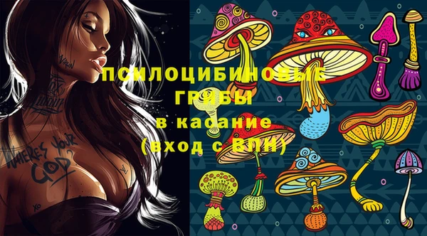 ECSTASY Навашино