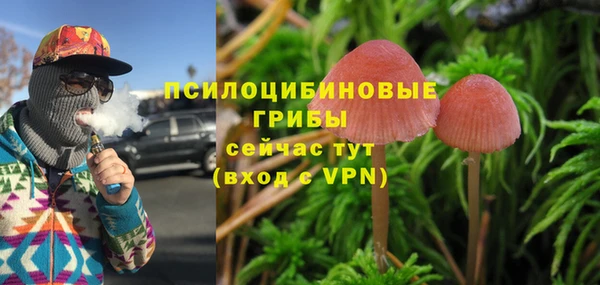 хмурый Надым