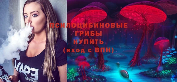 хмурый Надым